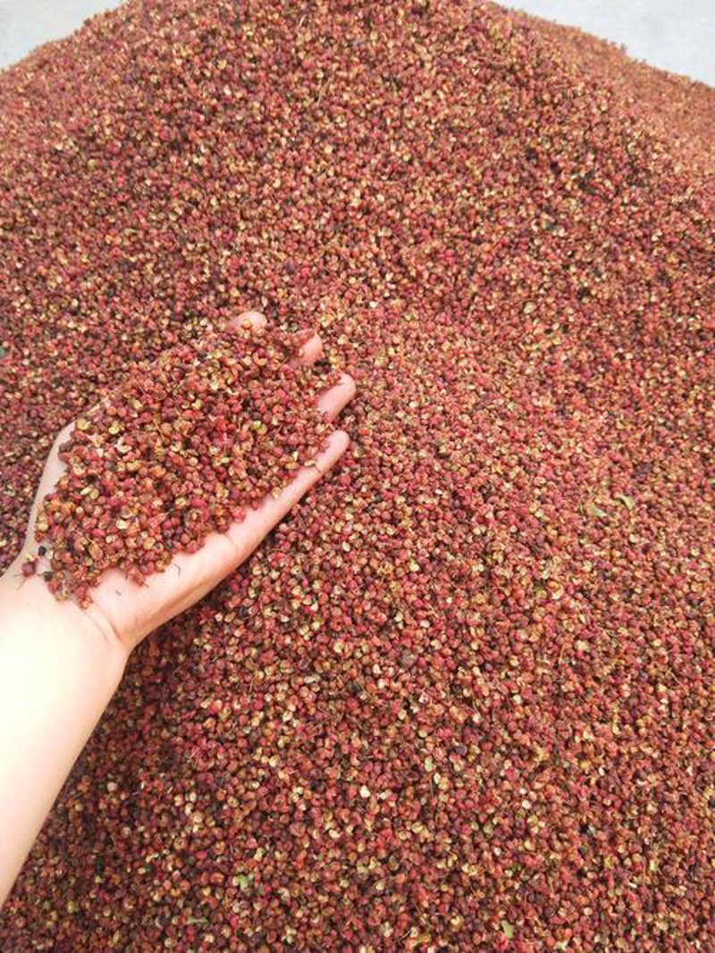 市场新星集升商贸：紧握行业话语权